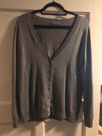 Grijs vest maat 42 merk Janina, Ophalen, Maat 42/44 (L), Grijs