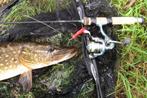 Serie U Ultra Light Baars / Snoek streamertjes, Ophalen, Nieuw, Complete set