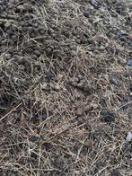 Paardenmest gratis op te halen., Ophalen of Verzenden, Mest
