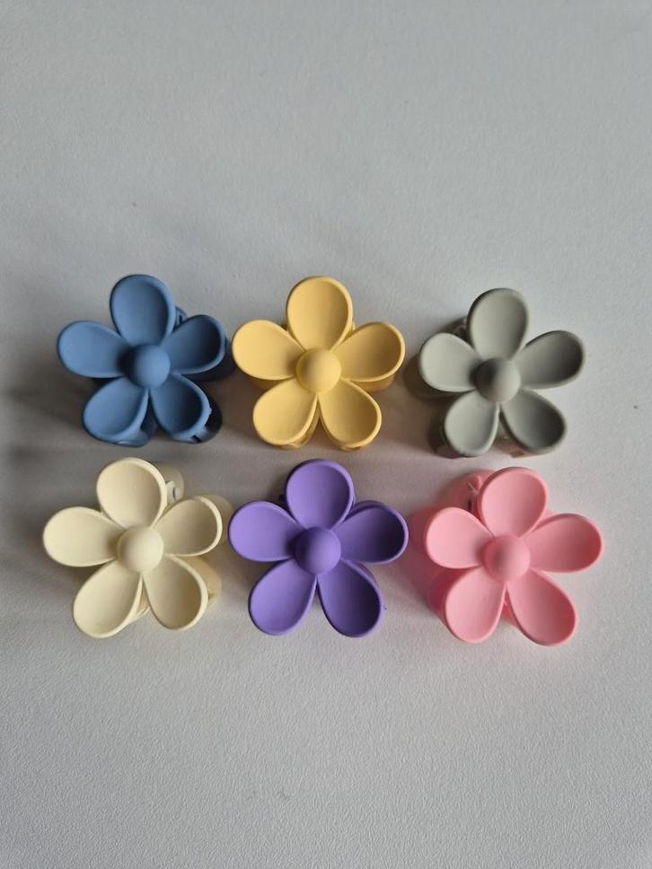 Set van 6 bloem haarclips schattige kleuren – opruiming, Kinderen en Baby's, Kindermode-accessoires, Nieuw, Ophalen of Verzenden