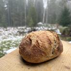 Desemstarter zuurdesem 100% biologisch volkoren meel, Ophalen of Verzenden