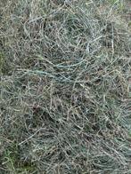 Midibalen kuil/voordroog kuilbalen ronde balen, Dieren en Toebehoren, Ophalen, Vee