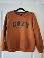 Fijne warme trui - Maat XL, Kleding | Dames, Truien en Vesten, Bruin, Maat 46/48 (XL) of groter, Ophalen of Verzenden, Zo goed als nieuw