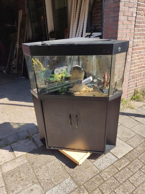 Hoek aquarium 75 euro, Dieren en Toebehoren, Vissen | Aquaria en Toebehoren, Gebruikt, Leeg aquarium, Ophalen