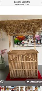 Tikibar huren met riet dakje - € 75,- inxl decoratie, Ophalen, Zo goed als nieuw