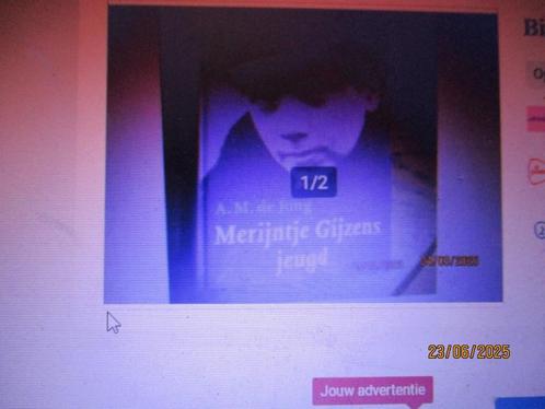 merijntje gijzens jeugd A.M de Jong 9789025322601, Boeken, Literatuur, Gelezen, Nederland, Ophalen of Verzenden