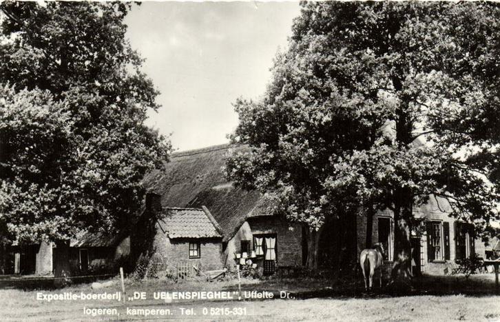 Expositie-boerderij De Uelenspieghel, Uffelte Dr. - ongelope, Verzamelen, Ansichtkaarten | Nederland, Ongelopen, Drenthe, Voor 1920
