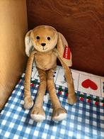 Hema konijn knuffel met magneten nieuw met kaartje, Ophalen of Verzenden, Nieuw, Konijn