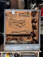 Glas terraium /kikkerbak maat 50x50x60 l.d.h, Ophalen, Zo goed als nieuw, Terrarium of Paludarium