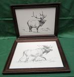 Vintage prenten met eland en hert kerst, Ophalen of Verzenden, Gebruikt