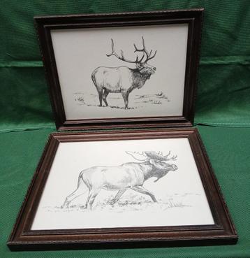 Vintage prenten met eland en hert kerst beschikbaar voor biedingen