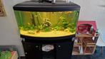 Compleet aquarium, Dieren en Toebehoren, Vissen | Aquaria en Toebehoren, Ophalen, Gebruikt, Gevuld zoetwateraquarium
