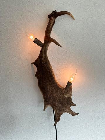 Geweienlamp.lamp.wandlamp.geweien.edelhert.damhert.brocante. beschikbaar voor biedingen