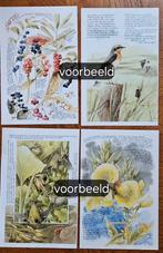 Verzameling afb. van Marjolein Bastin  prijs per 8 bladen, Ophalen of Verzenden, Gebruikt, Meerdere plaatjes