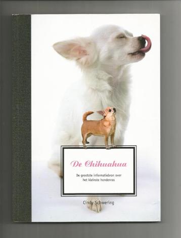 De Chihuahua - Cindy Schwering beschikbaar voor biedingen