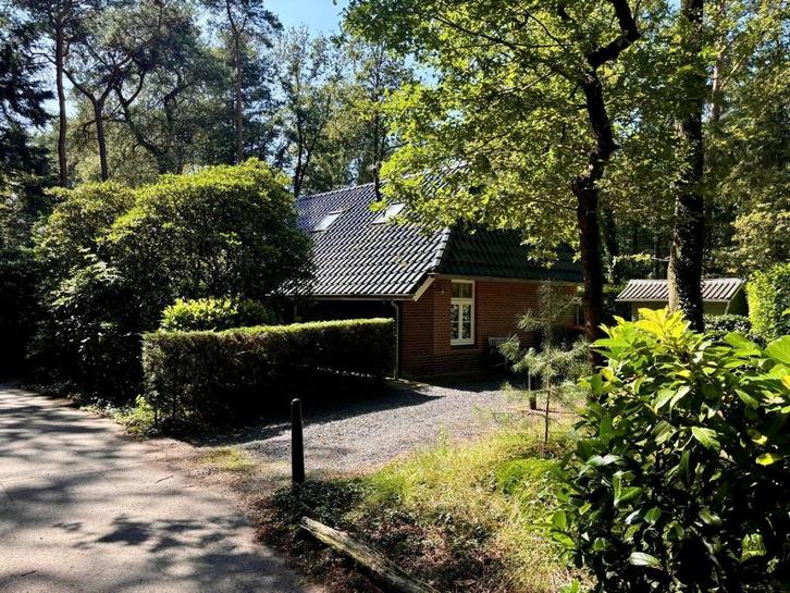 Natuurhuisje te huur in Holten, Vakantie, Vakantiehuizen | Nederland, Overijssel, Landhuis of Villa, Landelijk, In bos, 3 slaapkamers