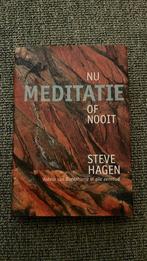 Steve Hagen - Meditatie nu of nooit, Meditatie of Yoga, Ophalen of Verzenden, Zo goed als nieuw, Steve Hagen