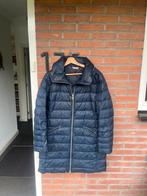 Tommy hilfiger blauwe winterjas maat xl, Kleding | Dames, Ophalen of Verzenden, Zo goed als nieuw, Maat 46/48 (XL) of groter, Blauw