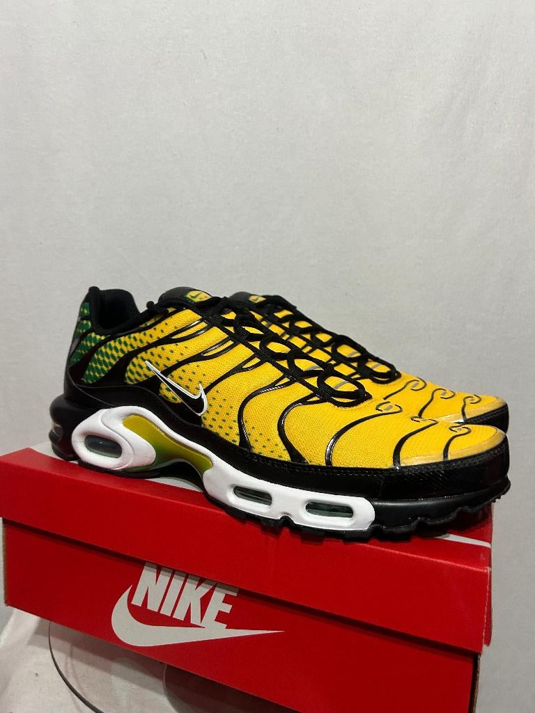 NIEUW IN DOOS! Maat 49,5 - Nike Air Max Plus Varsity Green, Overige kleuren, Verzenden, Nike, Nieuw