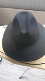 Mooie zwarte dameshoed, Kleding | Dames, Hoeden en Petten, Ophalen of Verzenden, Gedragen, 58 cm (L, 7¼ inch) of meer