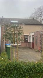 Lei Portugese laurier in div stam hoogten groenblijvend, Tuin en Terras, Planten | Bomen, Ophalen of Verzenden, Halfschaduw, Leiboom