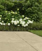 Keramiek tegels 90x90x3 cm  ACTIE NU 42,99 p.m2, Nieuw, Ophalen of Verzenden, 10 m² of meer, Beton