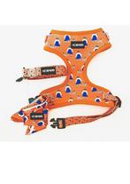 Trendy Hondenriem+Bandana Set–Comfortabel,Veilig & Stijlvol!, Ophalen of Verzenden, Nieuw, Hondenriem-accessoire