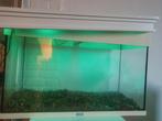 AQUARIUM/TERRARIUM VAN JUWEL, Dieren en Toebehoren, Vissen | Aquaria en Toebehoren, Ophalen, Zo goed als nieuw, Leeg aquarium