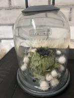 Mooie glazen stolpje van Hoffs met inhoud stoer en sober, Ophalen of Verzenden, Zo goed als nieuw