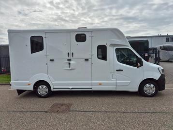 Occasion Renault Master MTM paardenwagen hengsten uitvoering beschikbaar voor biedingen