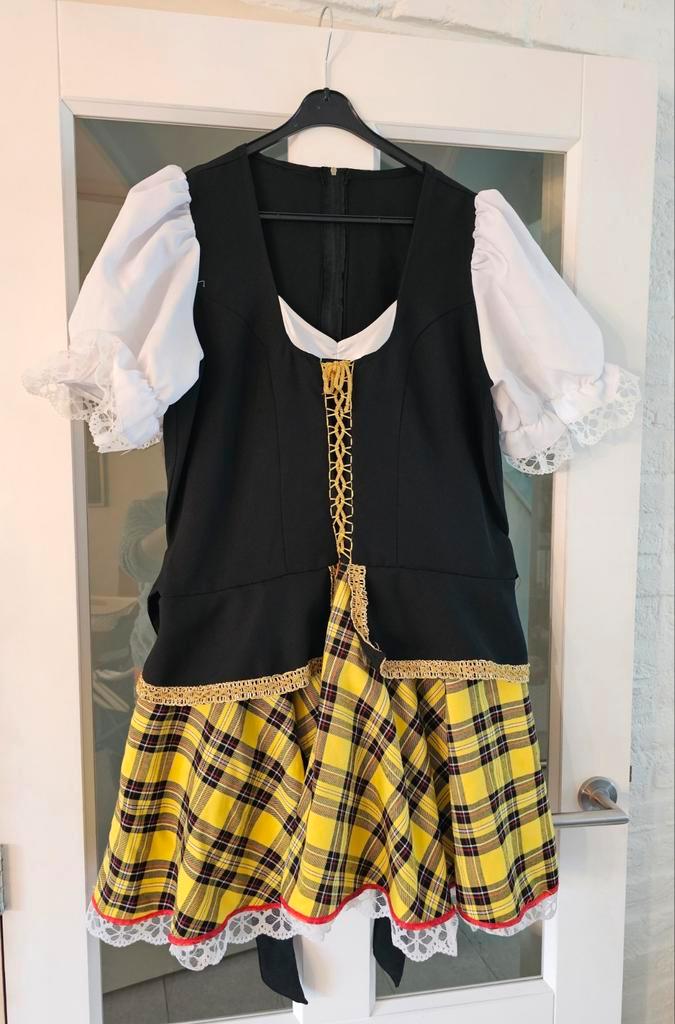 Dirndl - Themafeest, Kleding | Dames, Carnavalskleding en Feestkleding, Zo goed als nieuw, Kleding, Carnaval, Maat 42/44 (L), Ophalen of Verzenden