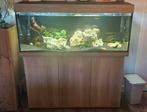 Aquarium Rio 240, Dieren en Toebehoren, Vissen | Aquaria en Toebehoren, Ophalen, Verlichting of Verwarming