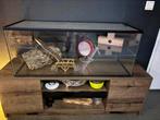 Knaagdieren terrarium, Dieren en Toebehoren, Knaagdieren en Konijnen | Hokken en Kooien, Zo goed als nieuw, Hok, Hamster, 75 tot 110 cm