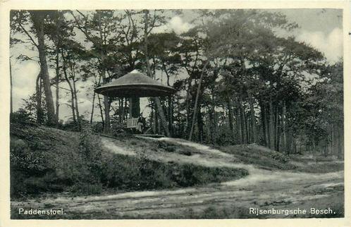 (388-333-045) Driebergen-Rijsenburg Paddenstoel, Verzamelen, Ansichtkaarten | Nederland, Utrecht, Verzenden