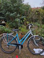 Trek damesfiets, model 300, Fietsen en Brommers, Minder dan 10 versnellingen, 53 tot 56 cm, Zo goed als nieuw, Ophalen