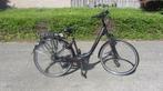 Electrische Hercules Roberta 46cm Bosch Active Line 500Watt, Gebruikt, Versnellingen, Minder dan 47 cm, Ophalen