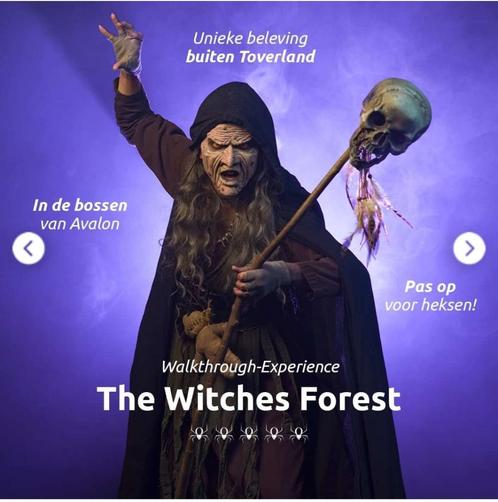 Ticket Haunted Experience 'The Witches Forest' (Toverland), Tickets en Kaartjes, Recreatie | Pretparken en Attractieparken, Eén persoon