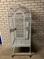 Papegaaienkooi Strong Anna, Ophalen, Gebruikt, Metaal, Vogelkooi