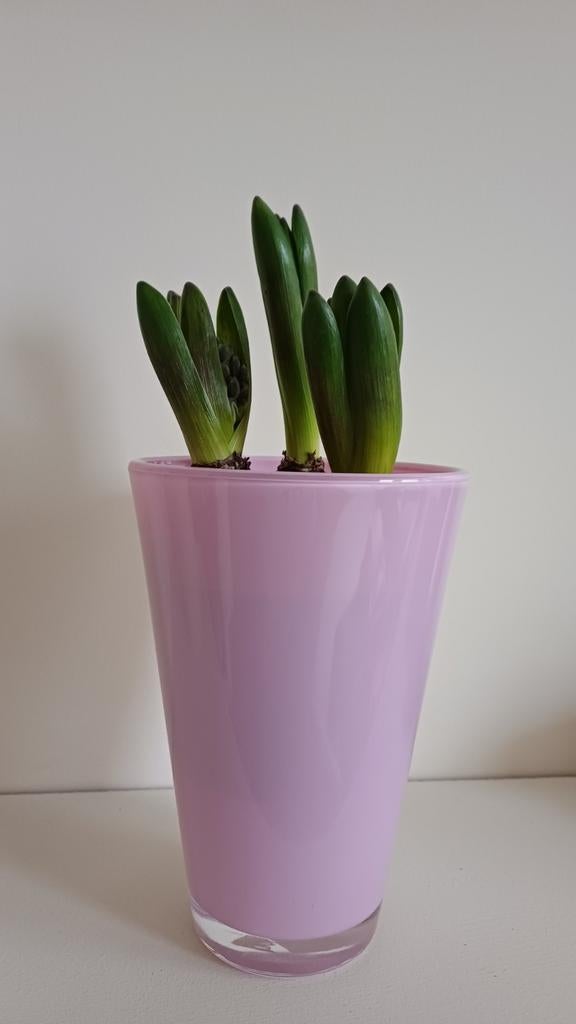Mooie glazen vaas, Overige kleuren, Ophalen of Verzenden, Minder dan 50 cm, Glas