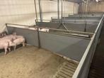 Hokinrichting vleesvarkens [550], Boekhorst Trading, Info@boekhorsttrading.com, Singel 16, Horssen