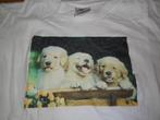 shirt met 3 jonge labrador puppies mt 146/152, Meisje, Gebruikt, Ophalen of Verzenden, Shirt of Longsleeve