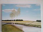 Olieverf schilderij 50 x 70, Ophalen