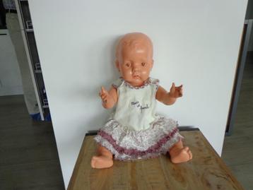 Wildebras pop Lengte 60 cm met mooie kleding 1958/1960 beschikbaar voor biedingen
