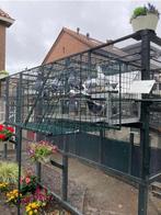 Duivenrennen en broedschotels te koop, Dieren en Toebehoren, Vogels | Hokken en Kooien, Ophalen, Zo goed als nieuw, Aluminium