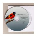 Kapotsensijs zang, Meerdere dieren, Tropenvogel, Geringd