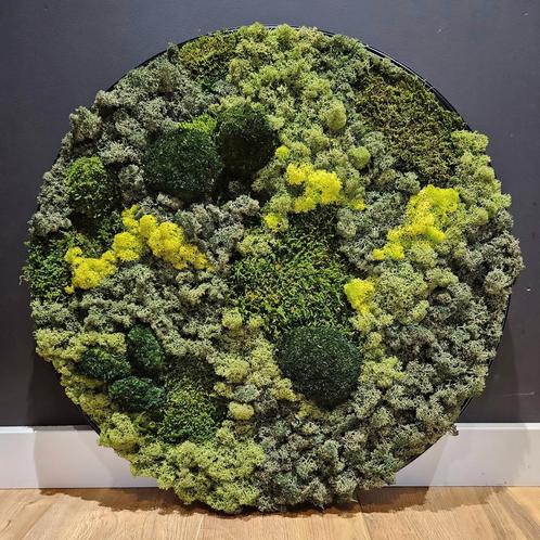Mosschilderij 50 cm diameter, Huis en Inrichting, Woonaccessoires | Wanddecoraties, Nieuw, Ophalen of Verzenden