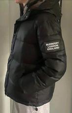 Burberry Puffer winterjas (ook direct op te halen), Kleding | Heren, Ophalen of Verzenden, Nieuw, Overige maten, Zwart
