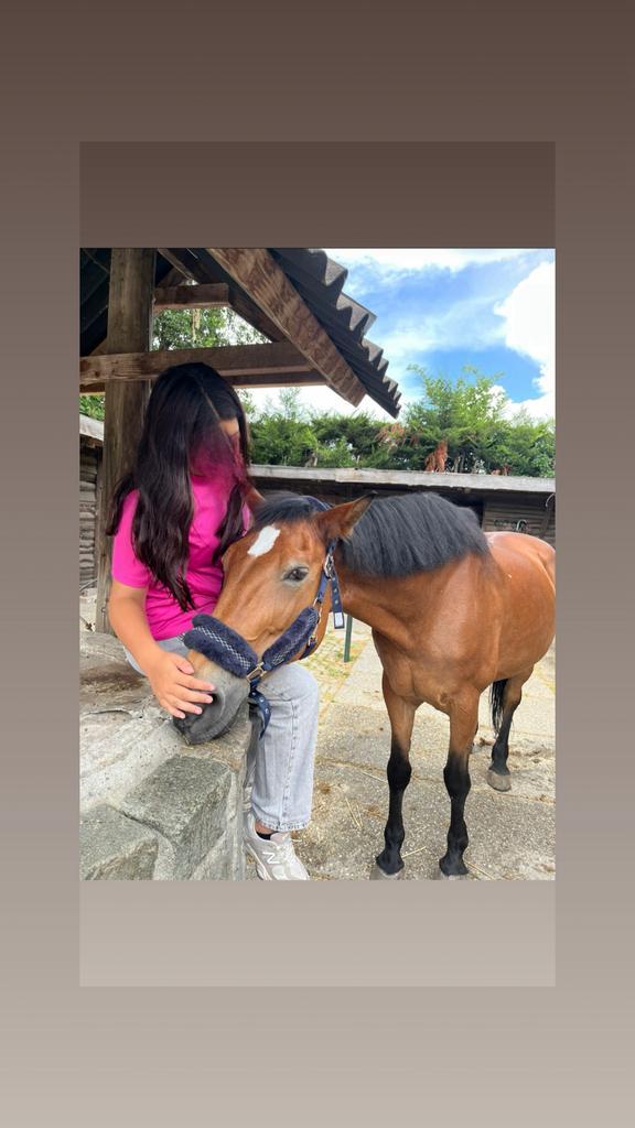 Verzorg/lease pony gezocht, Dieren en Toebehoren, Paarden en Pony's | Verzorgingsproducten, Zo goed als nieuw, Ophalen of Verzenden