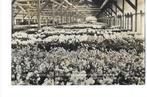 Aalsmeer, Ophalen of Verzenden, 1960 tot 1980, Ongelopen, Noord-Holland