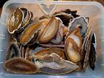 9+ kg Agaatschijven ca 126 stuks opruimactie!!!, Verzamelen, Mineralen en Fossielen, Ophalen of Verzenden